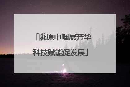 陇原巾帼展芳华 科技赋能促发展