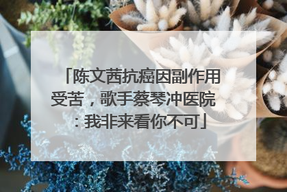 陈文茜抗癌因副作用受苦，歌手蔡琴冲医院：我非来看你不可