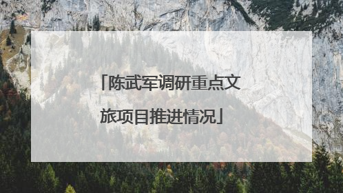 陈武军调研重点文旅项目推进情况