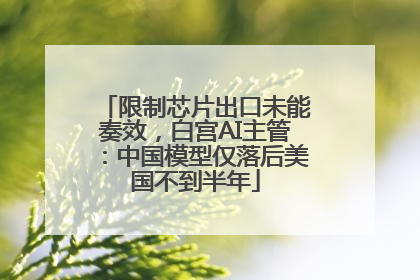限制芯片出口未能奏效，白宫AI主管：中国模型仅落后美国不到半年