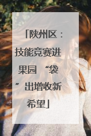陕州区：技能竞赛进果园 “袋”出增收新希望
