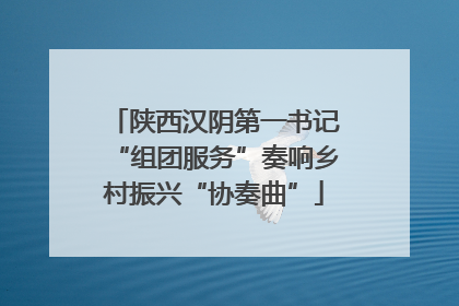 陕西汉阴第一书记“组团服务”奏响乡村振兴“协奏曲”