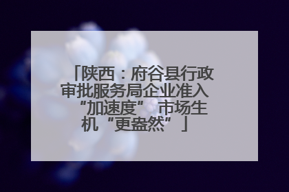 陕西：府谷县行政审批服务局企业准入“加速度” 市场生机“更盎然”