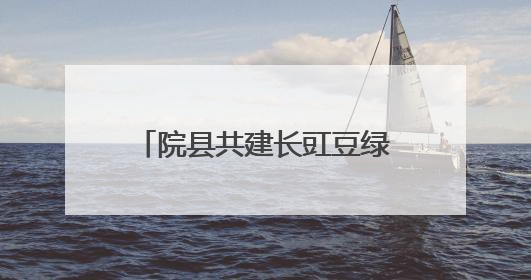 院县共建长豇豆绿色发展培训会举办