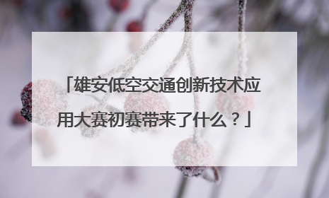 雄安低空交通创新技术应用大赛初赛带来了什么？