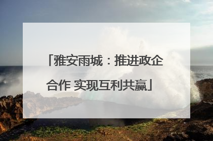 雅安雨城：推进政企合作 实现互利共赢