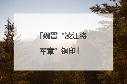 魏晋“凌江将军章”铜印