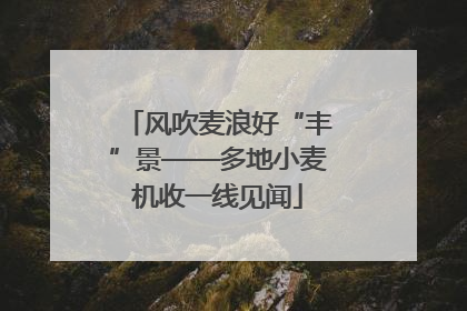 风吹麦浪好“丰”景——多地小麦机收一线见闻