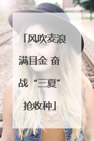 风吹麦浪满目金 奋战“三夏”抢收种
