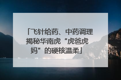 飞针给药、中药调理 揭秘华南虎“虎爸虎妈”的硬核温柔