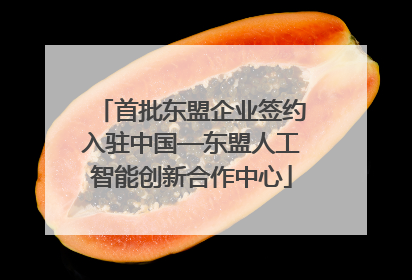 首批东盟企业签约入驻中国—东盟人工智能创新合作中心