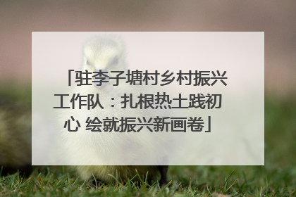 驻李子塘村乡村振兴工作队：扎根热土践初心 绘就振兴新画卷