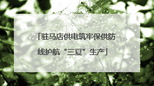 驻马店供电筑牢保供防线护航“三夏”生产