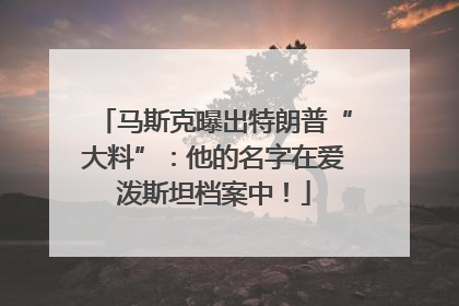 马斯克曝出特朗普“大料”：他的名字在爱泼斯坦档案中！