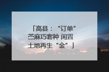 高县：“订单”苎麻巧套种 闲置土地再生“金”