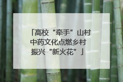 高校“牵手”山村 中药文化点燃乡村振兴“新火花”