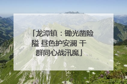 龙潭镇：锄光凿险隘 昼色护安澜 干群同心战汛魔