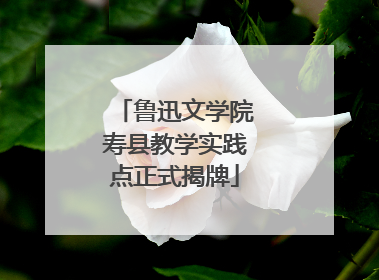 鲁迅文学院寿县教学实践点正式揭牌