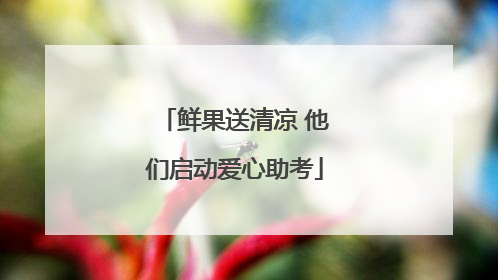 鲜果送清凉 他们启动爱心助考