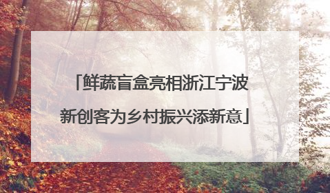 鲜蔬盲盒亮相浙江宁波 新创客为乡村振兴添新意