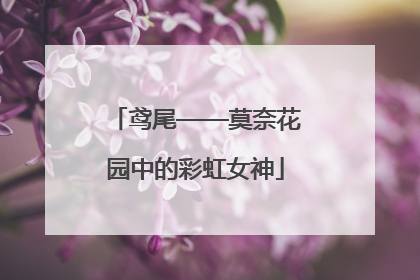 鸢尾——莫奈花园中的彩虹女神