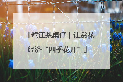 鹭江茶桌仔｜让赏花经济“四季花开”
