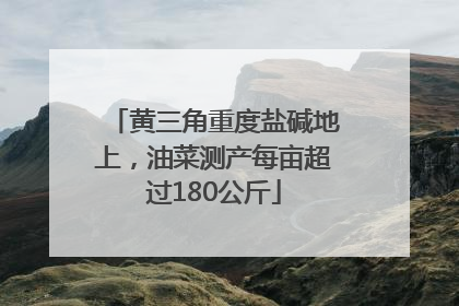 黄三角重度盐碱地上，油菜测产每亩超过180公斤