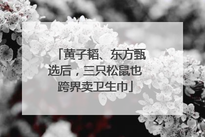 黄子韬、东方甄选后，三只松鼠也跨界卖卫生巾