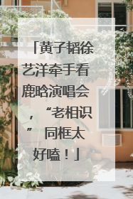 黄子韬徐艺洋牵手看鹿晗演唱会，“老相识” 同框太好嗑！