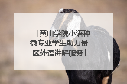 黄山学院小语种微专业学生助力景区外语讲解服务