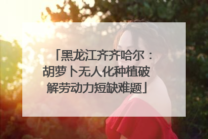 黑龙江齐齐哈尔：胡萝卜无人化种植破解劳动力短缺难题