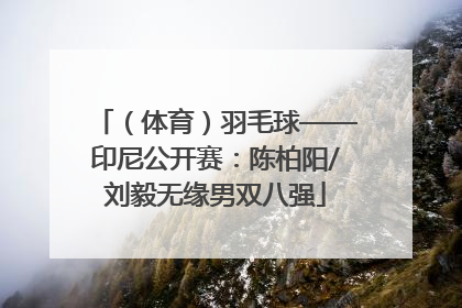 （体育）羽毛球——印尼公开赛：陈柏阳/刘毅无缘男双八强