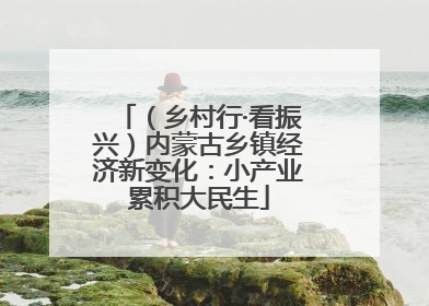 （乡村行·看振兴）内蒙古乡镇经济新变化：小产业累积大民生