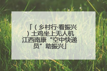 （乡村行·看振兴）土鸡坐上无人机 江西南康“空中快递员”助振兴