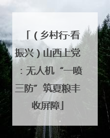 （乡村行·看振兴）山西上党：无人机“一喷三防”筑夏粮丰收屏障