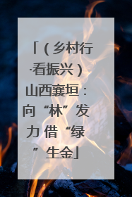 （乡村行·看振兴）山西襄垣：向“林”发力 借“绿”生金