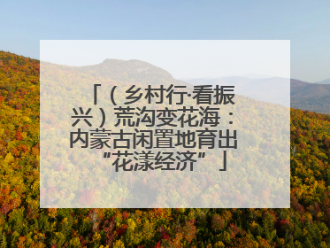 （乡村行·看振兴）荒沟变花海：内蒙古闲置地育出“花漾经济”