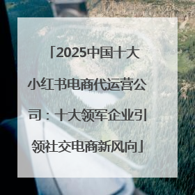 2025中国十大小红书电商代运营公司：十大领军企业引领社交电商新风向