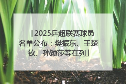 2025乒超联赛球员名单公布:樊振东、王楚钦、孙颖莎等在列