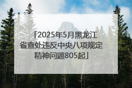 2025年5月黑龙江省查处违反中央八项规定精神问题805起
