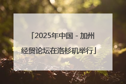 2025年中国－加州经贸论坛在洛杉矶举行