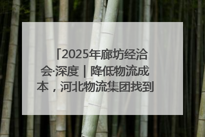 2025年廊坊经洽会·深度｜降低物流成本，河北物流集团找到一把“金钥匙”