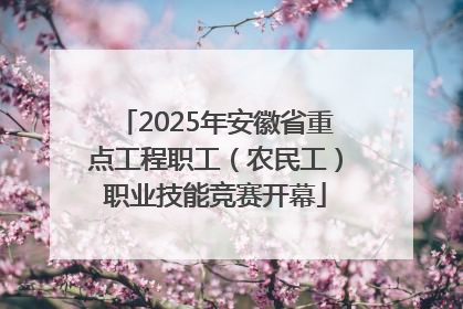 2025年安徽省重点工程职工（农民工）职业技能竞赛开幕
