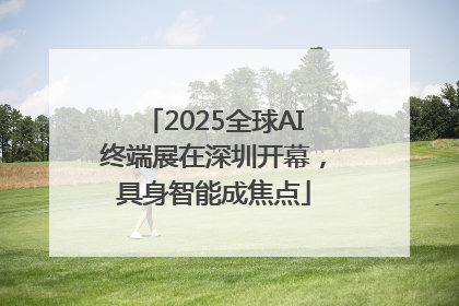 2025全球AI终端展在深圳开幕，具身智能成焦点