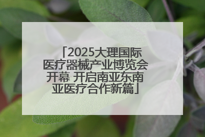 2025大理国际医疗器械产业博览会开幕 开启南亚东南亚医疗合作新篇
