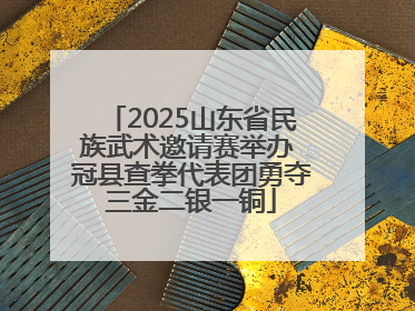 2025山东省民族武术邀请赛举办 冠县查拳代表团勇夺三金二银一铜