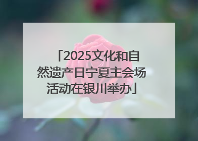 2025文化和自然遗产日宁夏主会场活动在银川举办