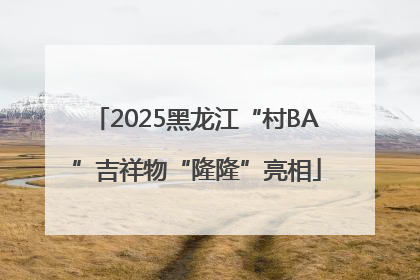 2025黑龙江“村BA”吉祥物“隆隆”亮相