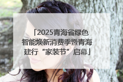 2025青海省绿色智能焕新消费季暨青海建行“家装节”启幕