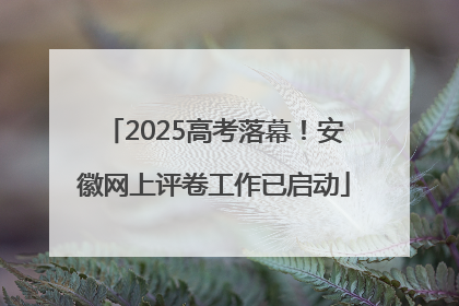 2025高考落幕！安徽网上评卷工作已启动